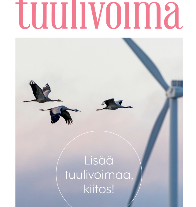 Kjeller in “Tuulivoima” magazine: cost of uncertainty revealed