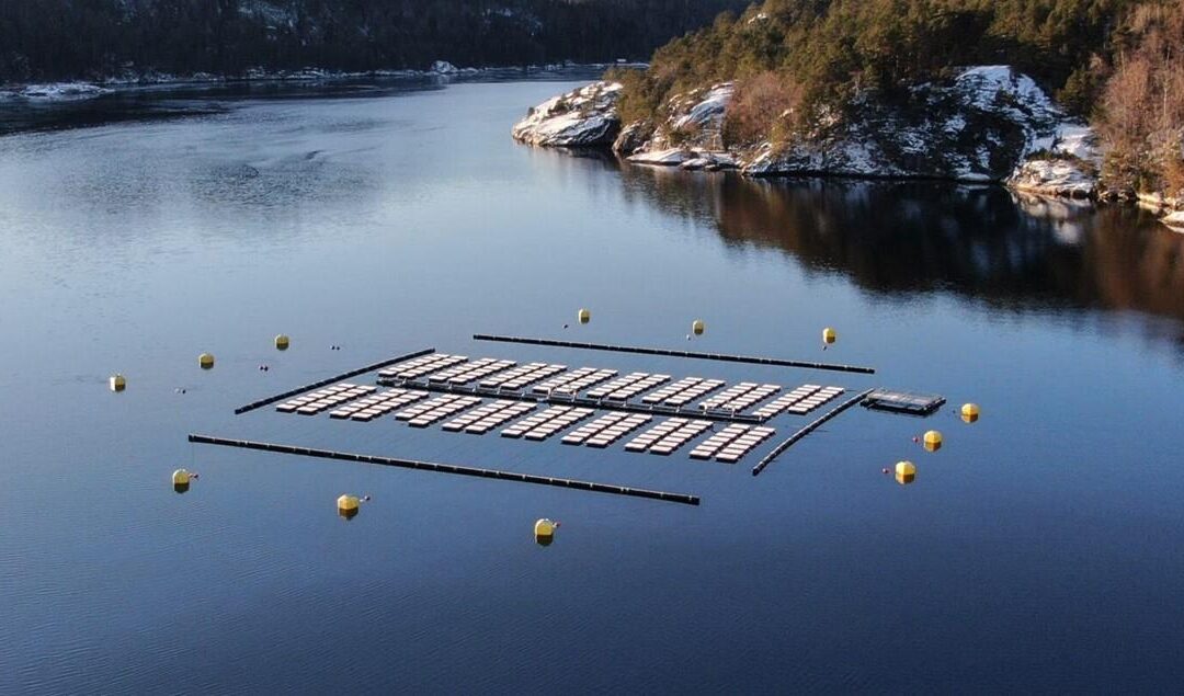 BRIZO – Floating PV Engineering