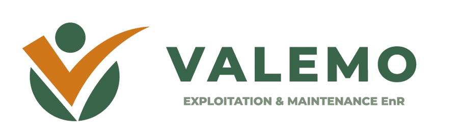 Valemo-Logo
